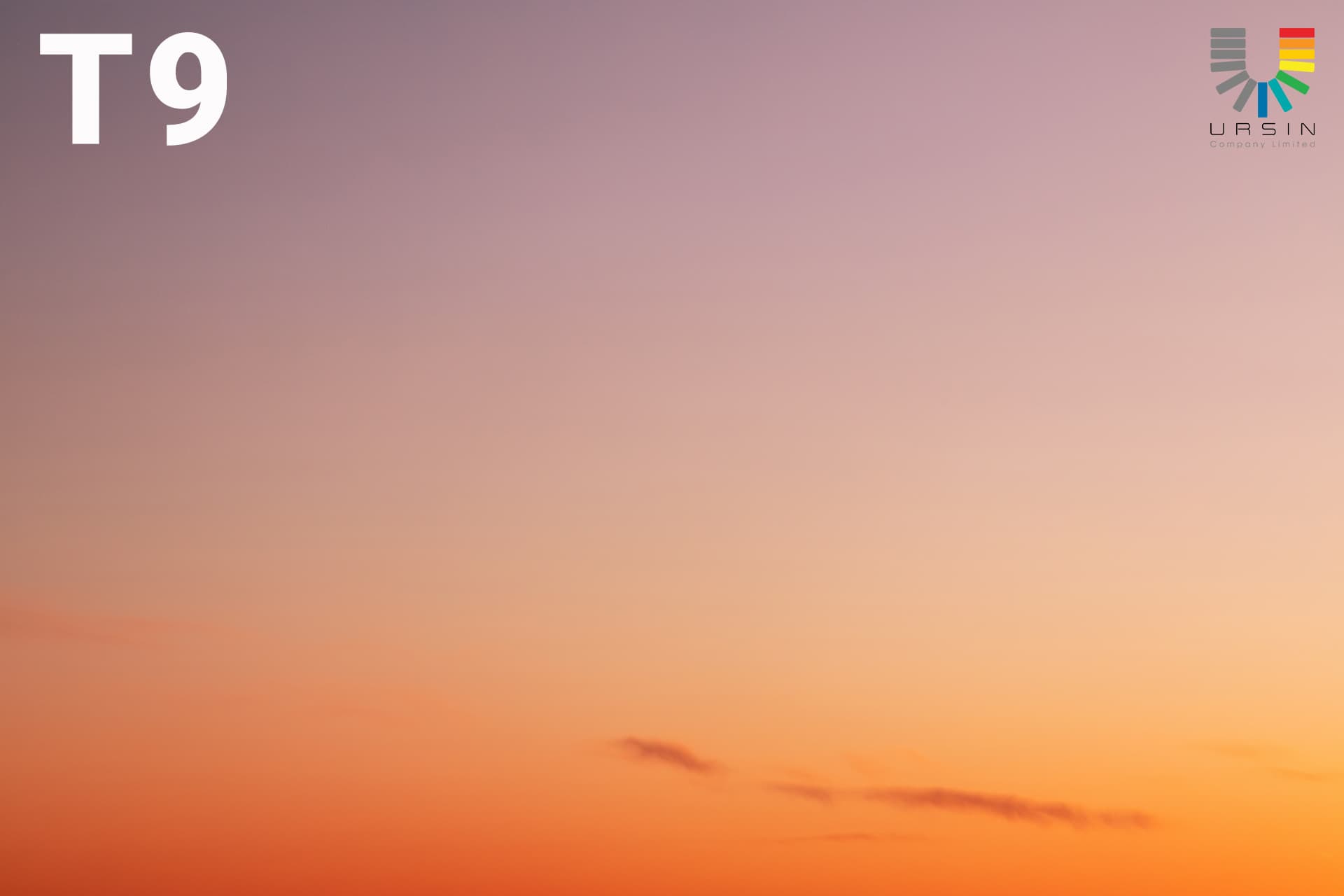Twilight Sky — T9